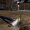 Электрический погружной насос Atlas Copco WEDA-D 10N (поплавок)