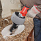 Электрическая прочистная машина Ridgid K-45AF