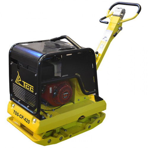 TSS 207290